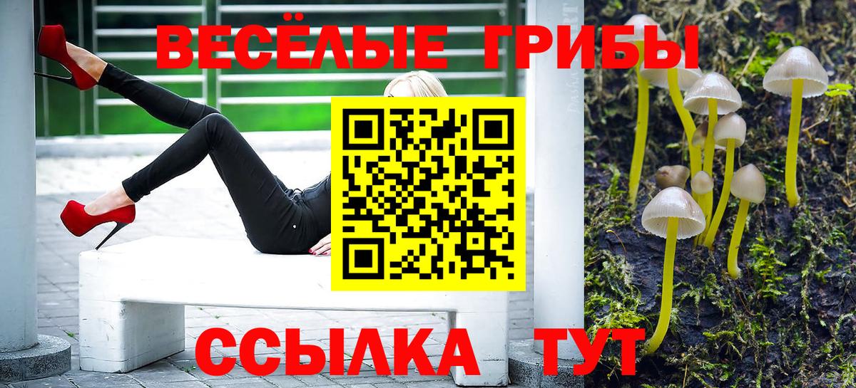 Щёкино  Псилоцибиновые грибы Psilocybine cubensis  Вход с VPN 